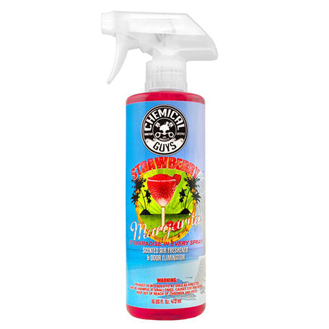 Chemical Guys Premium Air Freshener and Odor Eliminator (AIR_069_16)