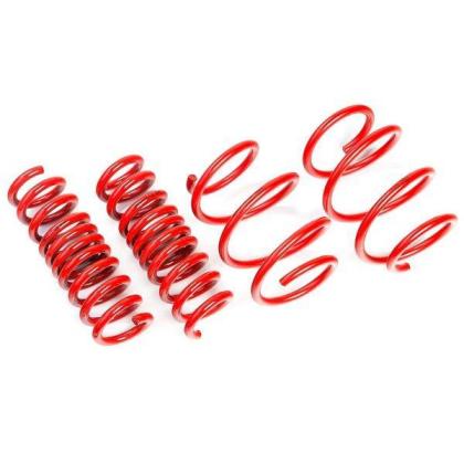 AST Suspension Lowering Springs | 2020+ Toyota Supra (ASTLS-21-134)