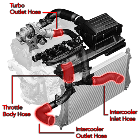 APR Tuning Throttle Body Hose | Multiple Fitments (MS100113)