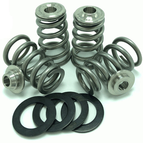 GSC Power Division GSC Valve Springs | (TVS1903)