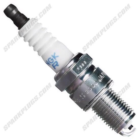 NGK Standard Spark Plug Box of 4 (3785)