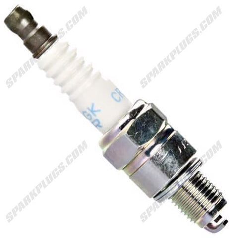 NGK Standard Spark Plug Box of 4 (6535)