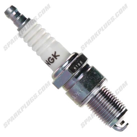 NGK Standard Spark Plug Box of 4 (7732)