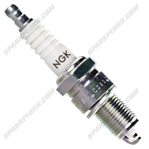 NGK Standard Spark Plug Box of 4 (7834)