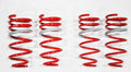 1997-2001 Acura Integra Type-R DF210 Springs by Tanabe (TDF041) - Modern Automotive Performance
