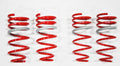 2002-2006 Nissan Sentra SE-R DF210 Springs by Tanabe (TDF055) - Modern Automotive Performance
