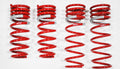 2005-2007 Subaru WRX DF210 Springs by Tanabe (TDF107) - Modern Automotive Performance
