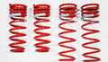 1998-2005 Lexus GS400/430 DF210 Springs by Tanabe (TDF24B) - Modern Automotive Performance
