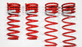 2002-2006 Nissan Sentra SE-R GF210 Springs  by Tanabe (TGF055) - Modern Automotive Performance
