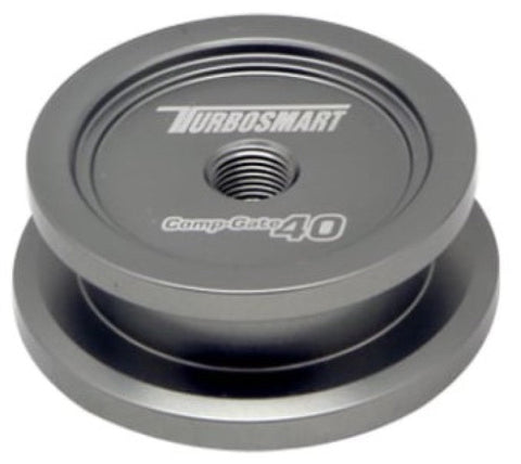 Turbosmart WG40 Welding Purge Bung | Universal (TS-0550-3076)